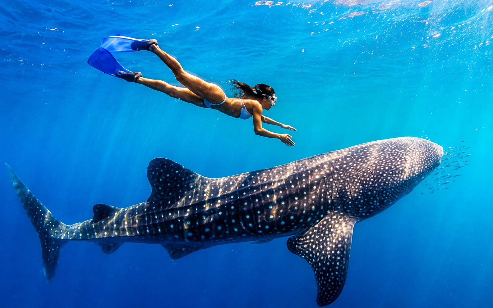 tour-cebu-4D3N